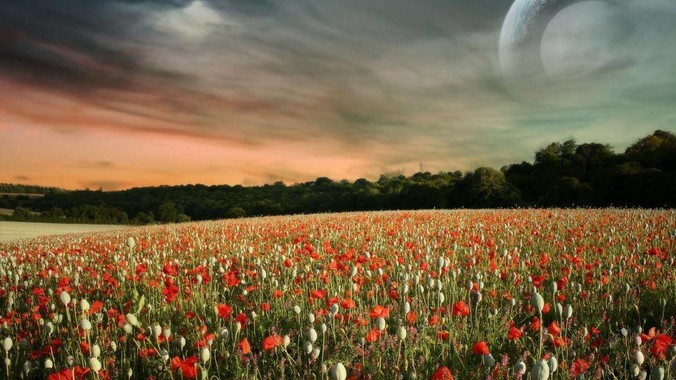 微软宣布 5 月 28 日开始下架「Microsoft 远程桌面」应用，背后原因有哪些？